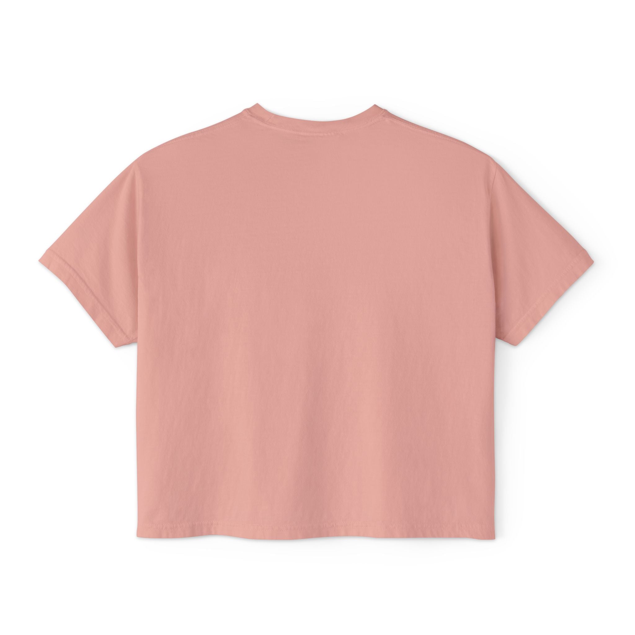 Sadie Lane Boutique Checkered Boxy Tee — Women’s Vintage Logo Crop Shirt