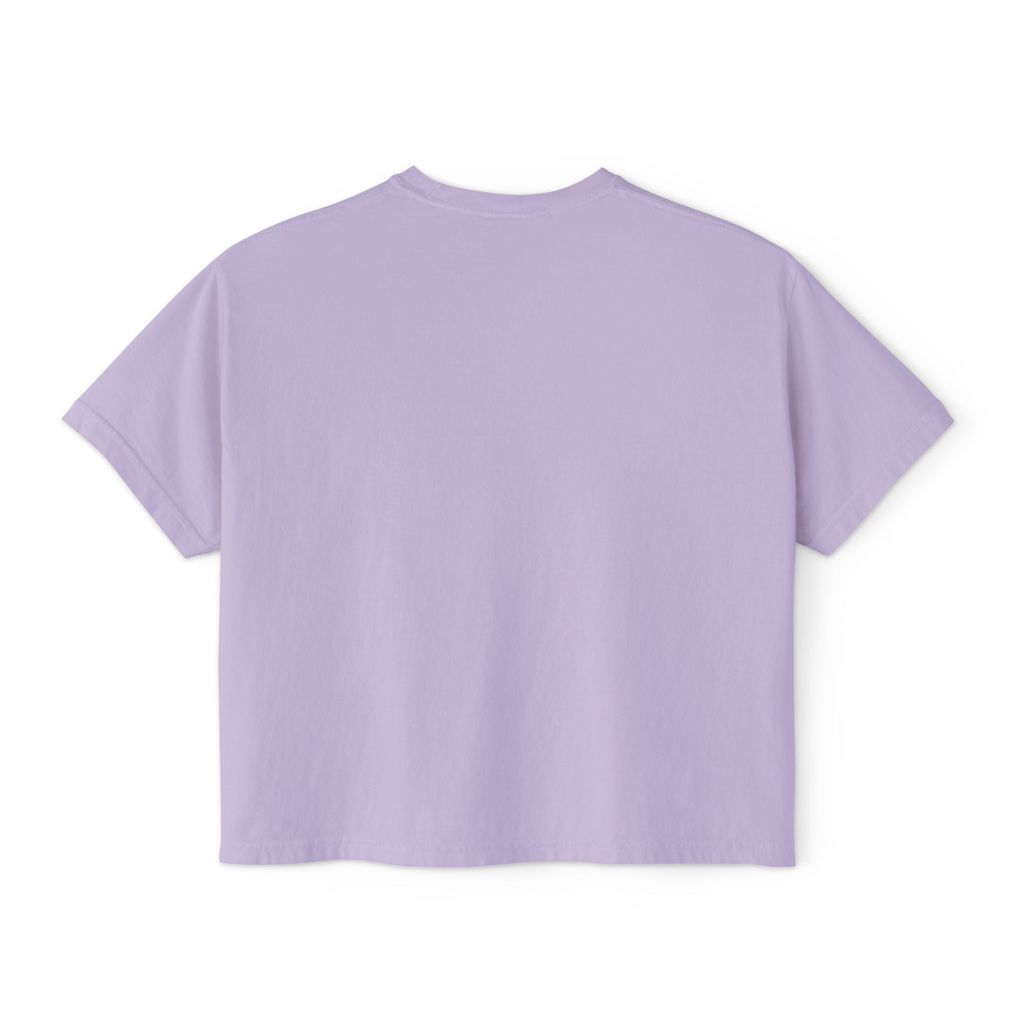 Sadie Lane Boutique Checkered Boxy Tee — Women’s Vintage Logo Crop Shirt